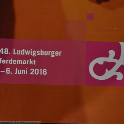 Ludwigsburger Pferdemarkt
